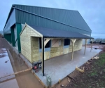 Essential Horse Shelter Tips: Protect Your Equine Companion   