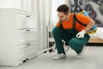Professional Termite Control in Abu Dhabi