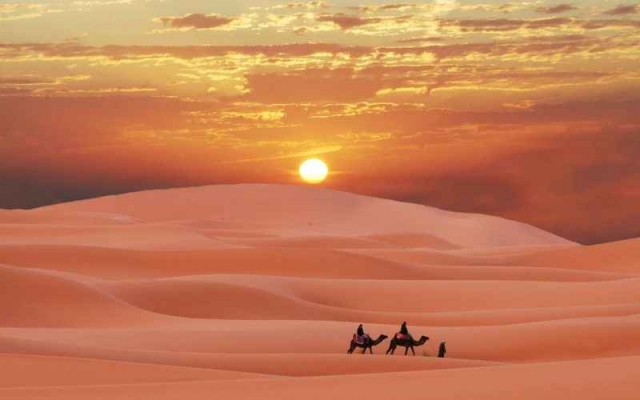 Who Should Experience a Private Desert Safari in Dubai? 