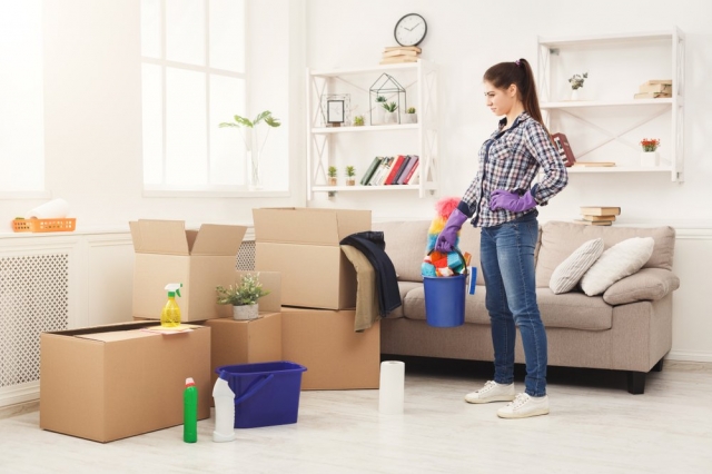 The Importance of Professional Cleaning for Vacation Rentals