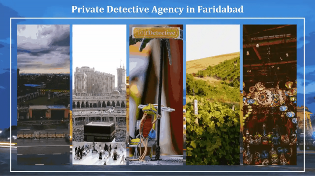 Expert Private Detective Agency in Faridabad