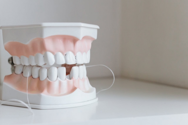 Why Regular Check-ups Benefit Dental Health Across All Ages 