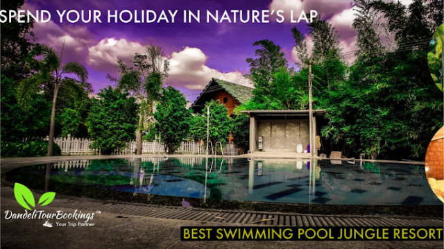 Why Dandeli Resorts Are Perfect for Adventure Enthusiasts