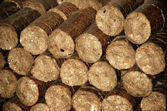 How Biomass Fuel Pellets Power Sustainability | Ecostan Biofuel