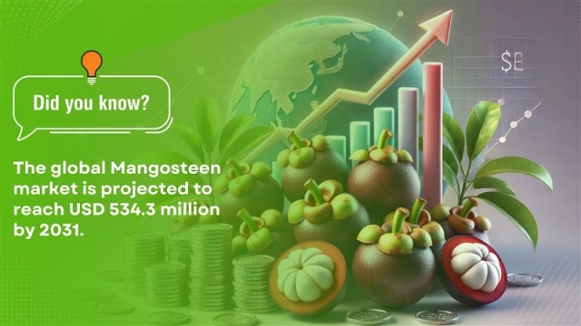 5 Innovative Ways to Use Organic Mangosteen Powder in Your Products 
