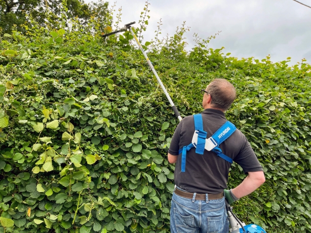 How Stump Grinding in Wolverhampton Can Improve Your Landscape