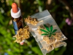 Same Day Weed Delivery: Convenience at Your Doorstep