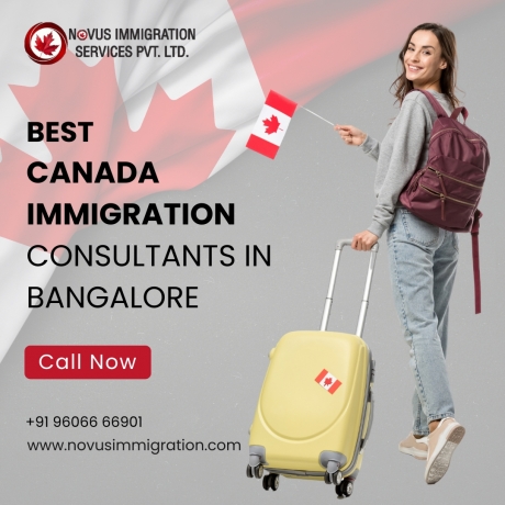 Reasons Why Indians Easily Adapt to Life in Canada, USA, and UK | Novusimmigration.com