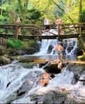 Wellness and Transformation: The Best Psychedelic Retreats in Europe