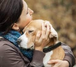 Compassionate Care for Your Dog’s Final Days