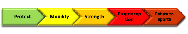 How to treat bicep tendinopathy