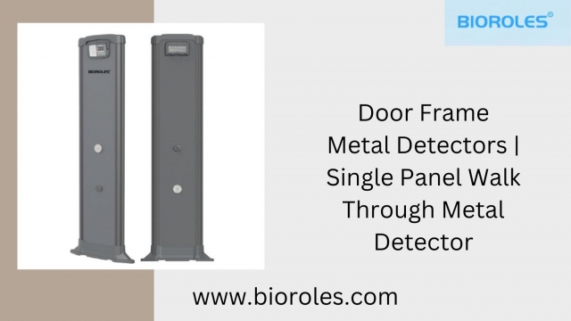 Door Frame Metal Detector manufacturer 