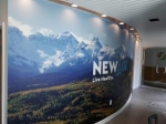 How Custom Wall Murals Enhance Branding for New York Businesses