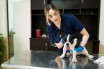 Exceptional Veterinary Care in Qatar: Ensuring a Healthy Life for Your Pets