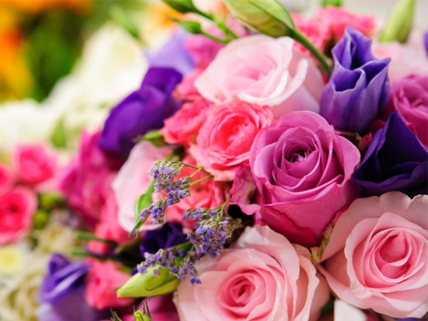 Same-Day Flower Delivery to Hospitals in San Diego with Lilac Flower Shop
