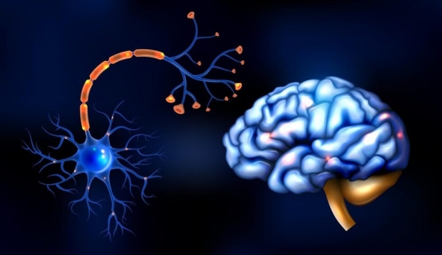 What Are The Stages Of GBS Recovery?