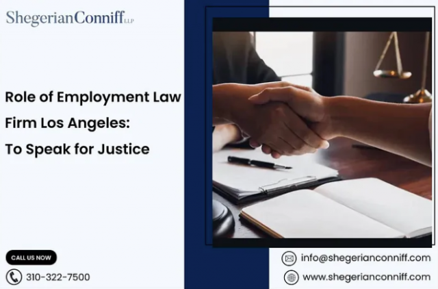 Role of Employment Law Firm Los Angeles: To Speak for Justice