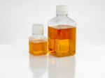 Fetal Bovine Serum Market is Trending towards More Affordable Alternatives
