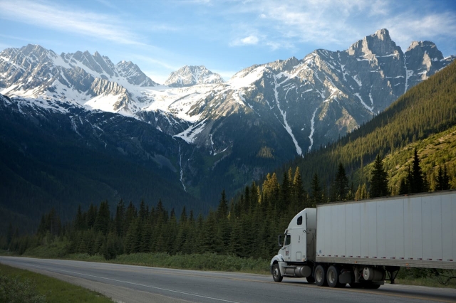 Legal Guide from Truck Accident Lawyers San Diego on Pedestrian Accidents Involving A Drunk Driver