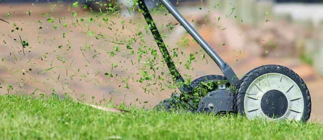 5 Easy Lawn Care Tips for a Healthier Yard
