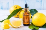 Yuzu Seed Oil Processing Plant Report 2025: Project Cost, Manufacturing Process, and Setup Details