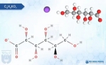 8 Steps to Establish a Successful Potassium Acetate Manufacturing Plant