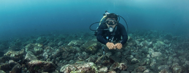 Discovering the Joys of Diving in Tulamben Bali