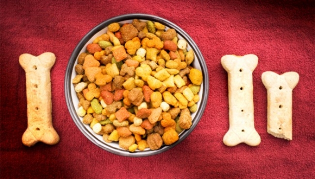 Pet Food Bowl Market will grow at highest pace owing to increase in pet adoption across the globe