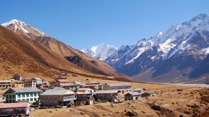 Langtang Valley Trek: A Complete Guide