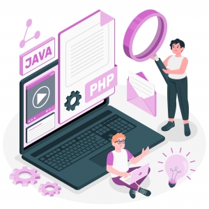 Why Choose a Custom Laravel Development Company for Your Next Project?