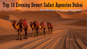 Evening Desert Safari Agencies Dubai