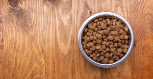 China Pet Food Ingredients Market: Dominant Trends Shaping the Industry