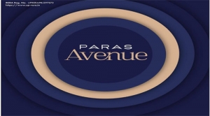 Commercial Space for Sale in Noida | Paras Avenue