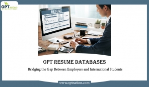 OPT Resume Databases: Bridging the Gap Between Employers and International Students