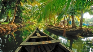 A Deep Dive into Kerala's Rich History and Culture