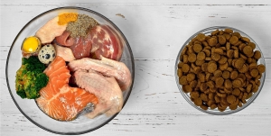 The Italy Pet Food Ingredients Market: A Focus on the Dominant Region