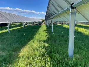 The United States Agrivoltaics Market to Register Substantial Growth due to Rising Demand for Solar Energy from Agricultural Sector