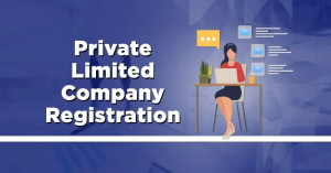 Start Smart: Why PVT Ltd Company Registration is Your Best First Move