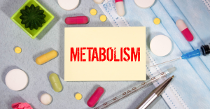 Why Metabolism Matters: How It Affects Weight, Energy, and Disease Risk