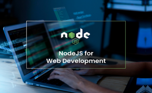 How Can Node.js Enhance Custom Web App Development?