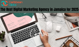 The Best Digital Marketing Agency in Jamaica for 2025