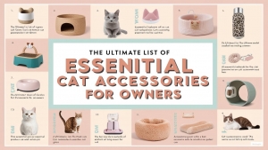 The Ultimate List of Essential Cat Accessories for Owners