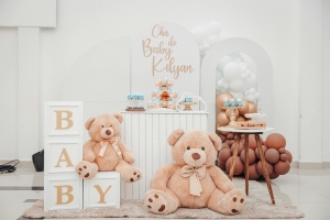 Best Baby Shower Balloons in Vancouver BC Elevate Your Celebration with Luxury Balloon Decor