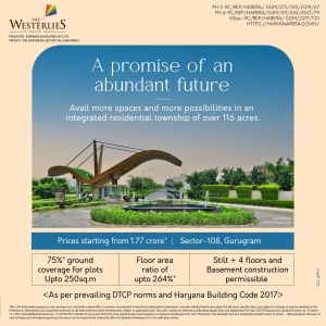 Plots in Dwarka Expressway 