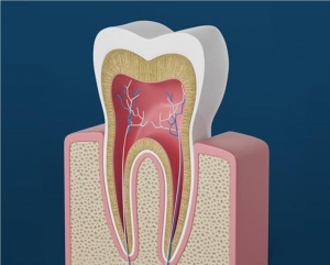 Causes of Nerve Inflammation and How to Relieve It