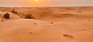 Best Time for a Dune Desert Tour: Weather & Crowds