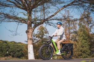 Do I need shock absorbers on my electric bike?