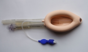 Laryngeal Mask Market 2031: Size, Growth Drivers, and Trends