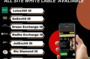 Why is Ganga Online Book Gaining Popularity for Online Cricket ID?