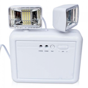 Hubbell Incorporated: Strategies, Innovations, and Developments in the Emergency Lights Market